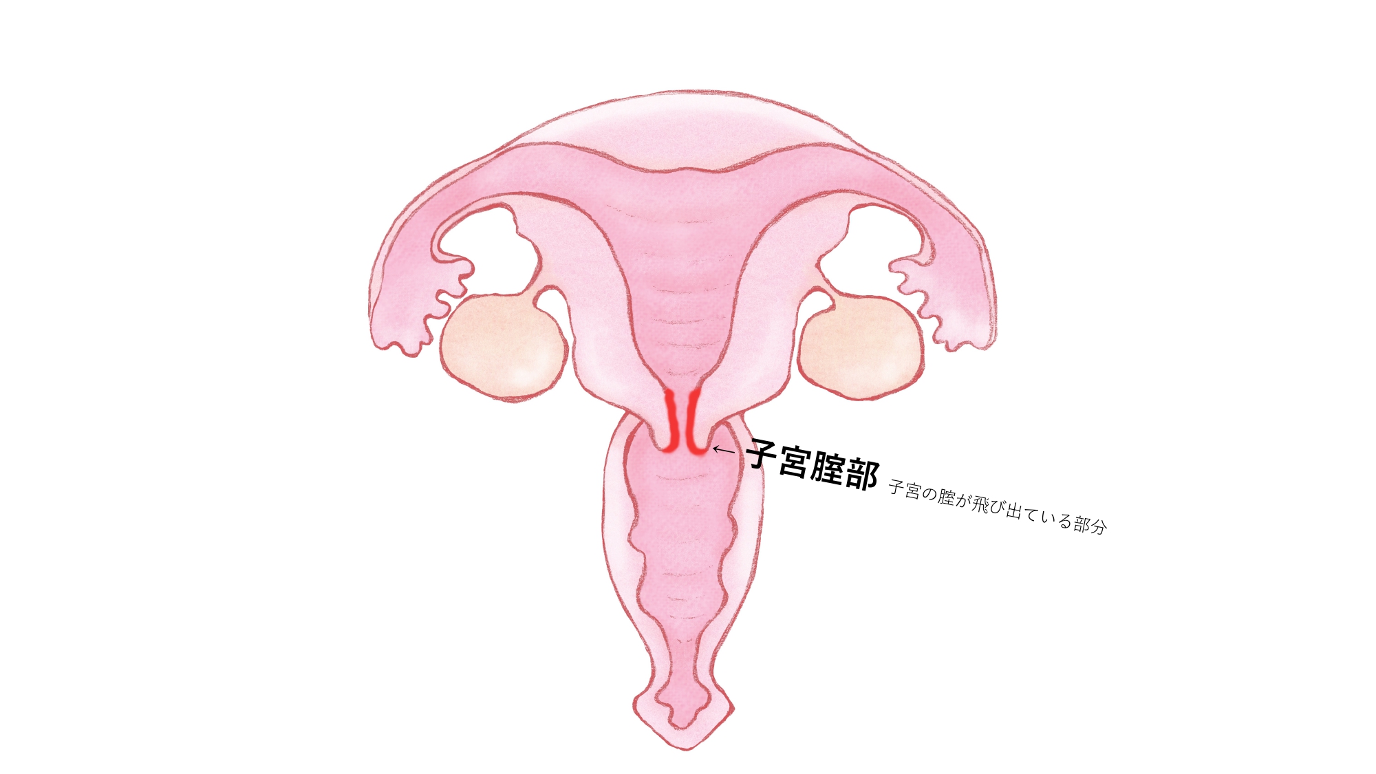 攻守逆転】小刻みに突かれるポルチオ責めで同時イキ～最高感度の犬系彼氏と痙攣エッチ～ [Eclipse] | DLsite がるまに