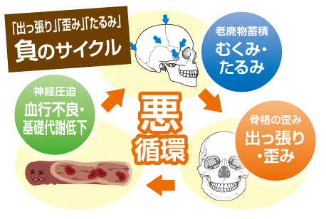 解毒代謝 | ウイング公式サイト