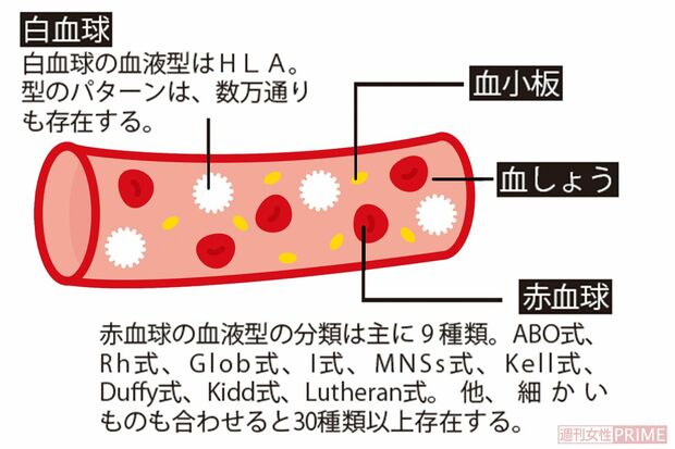 ローラのプロフィール情報、出演作品一覧｜タレント｜見逃し無料配信はTVer！人気の動画見放題