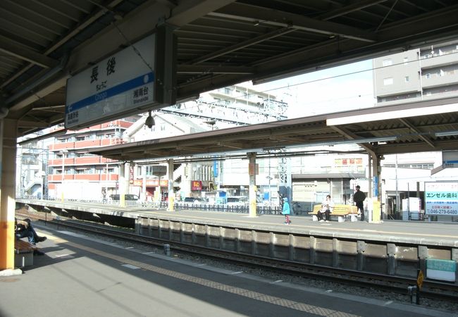 2020.06.27 街中の緑道からのどかな景色の境川へ 小田急沿線自然ふれあい歩道4-53 - mesetaのブログ