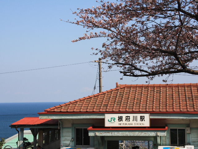 撮り鉄必訪！青い海と空背景に鉄道を撮ろう！神奈川県根府川周辺 | ORICON