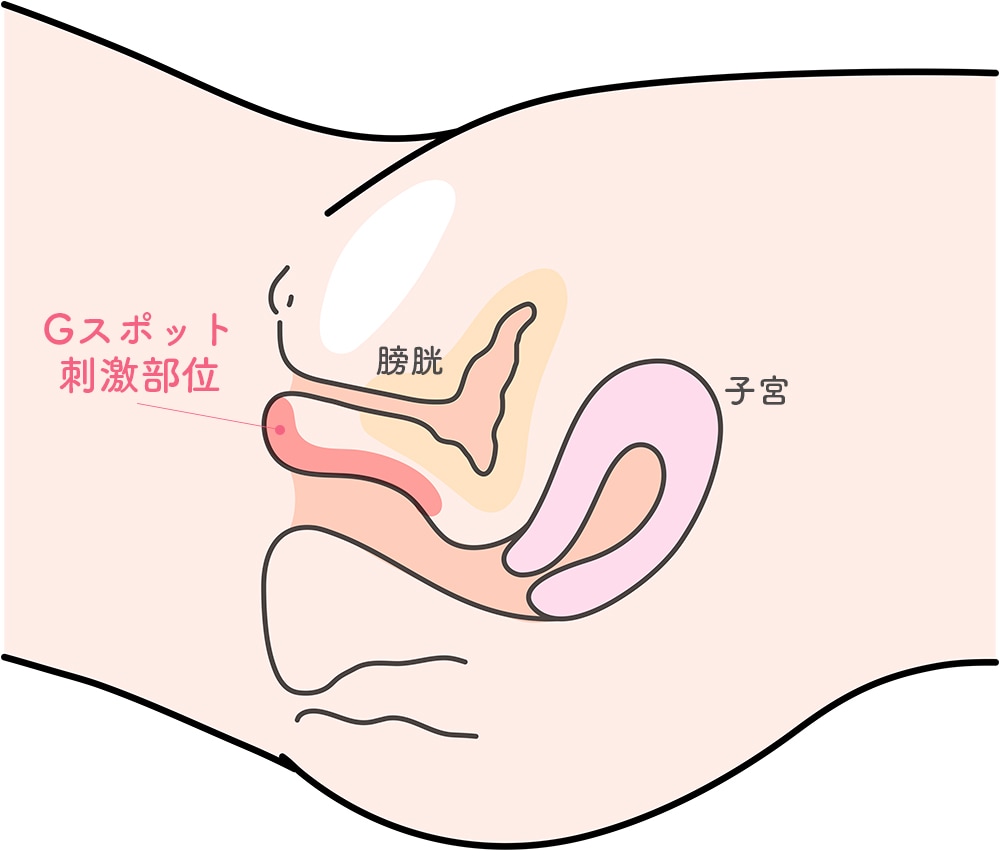 Gスポットを開発するコツ！場所や注意点を細かく解説。 | VOLSTANISH