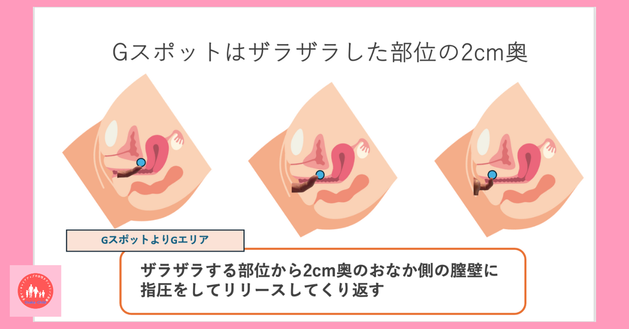 Gスポット・ポルチオ・クリトリスの場所と開発方法｜中イキ・外イキするコツ【女性の性感帯】 | オトナのための情報サイト