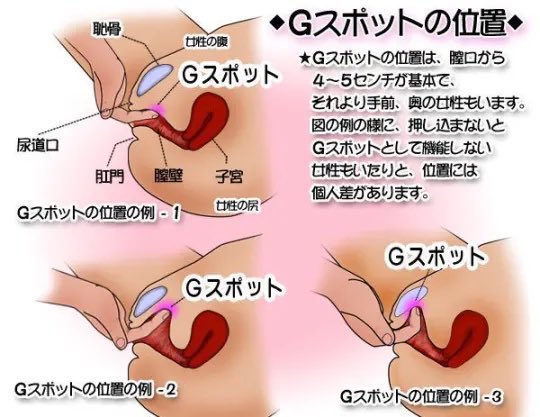 Gスポットは「点」じゃない！ 絶対に見つかるとは限らないのは本当？ | シンデレラグループ公式サイト