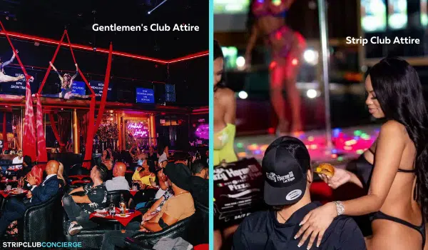 Strippers Bar Auckland NZ |